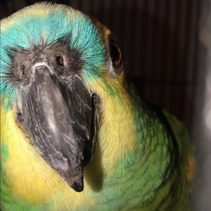 Meet your Posher, Kiana